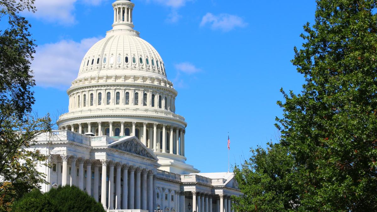 Tree-lined side of the Capitol building